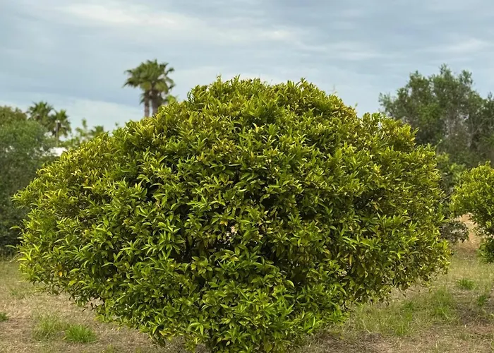 Orizzonte Holiday home